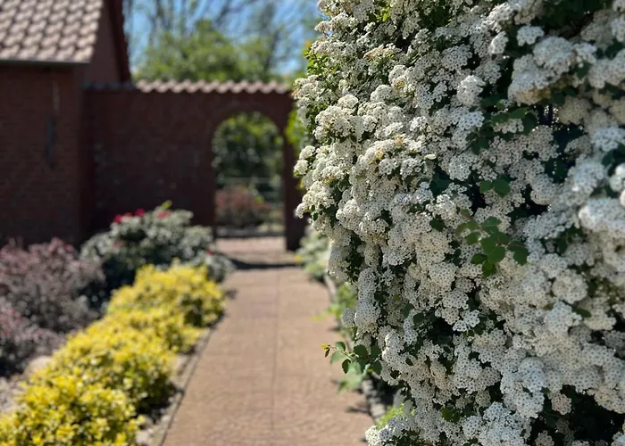 Tatil Evi Elbwiesenhaus-an-der-elbe *